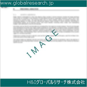 グローバルリサーチ調査資料のイメージ